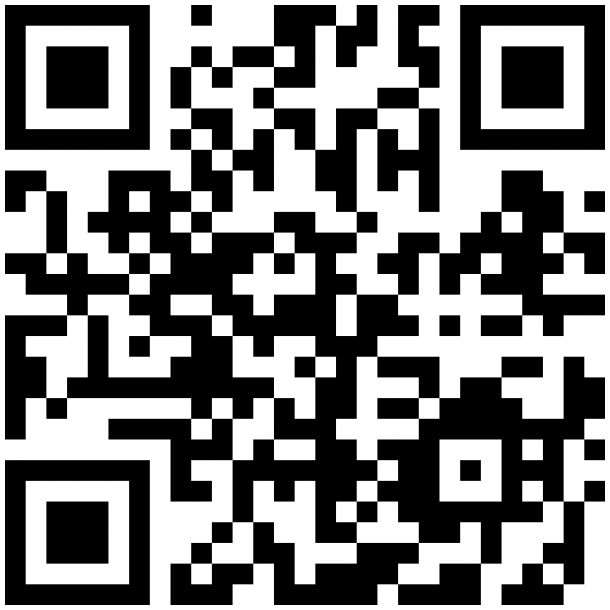 QR Code BtG Online Beratung